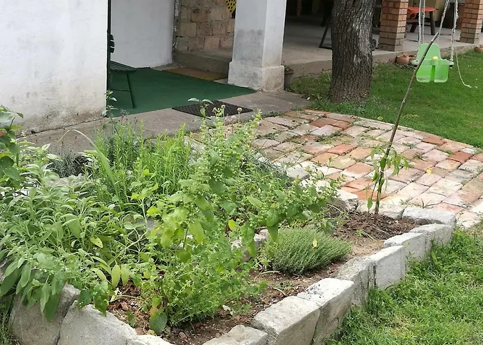 Teréz Háza Pensión Pazmand
